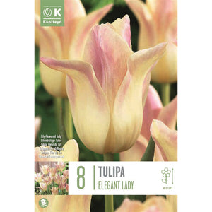 Tulip ‘Elegant Lady’ (8 Bulbs) image 0