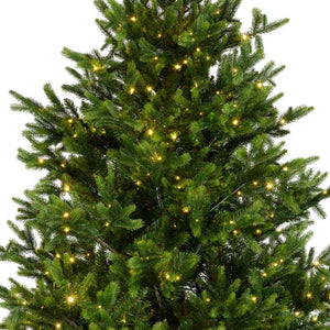 Everlands Nordmann Fir Pre-Lit Christmas Tree – 7ft image 1