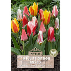 Greigii Mixed Tulips (10 Bulbs) image 0