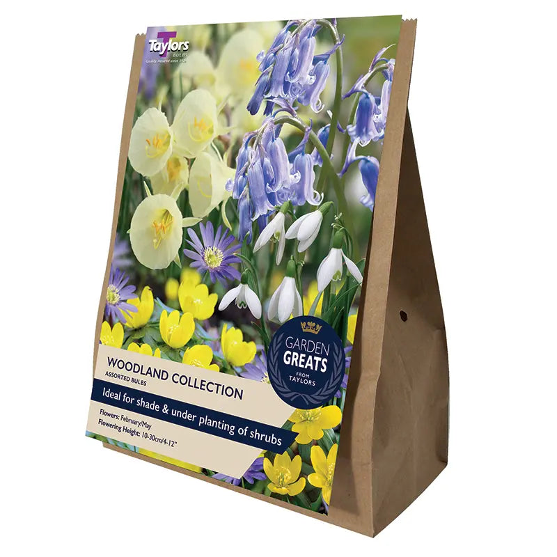 Assorted Woodland Bulbs Collection (40 bulbs) image 0