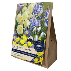 Assorted Woodland Bulbs Collection (40 bulbs) image 0