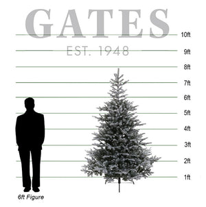 Everlands Snowy Grandis Fir Artificial Christmas Tree - 8ft image 1