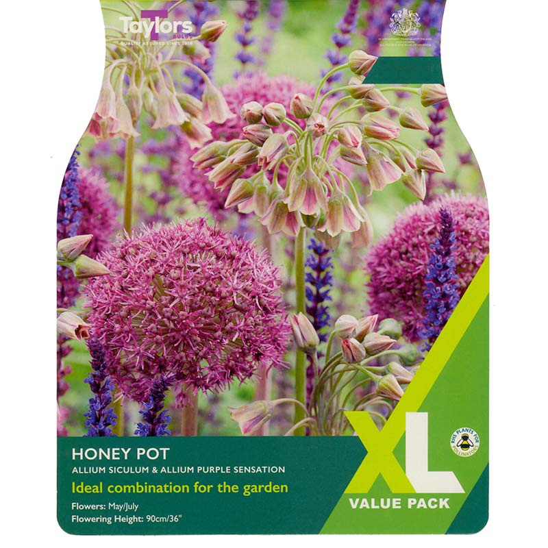 Allium ‘Honey Pot’ (18 Bulbs) image 0