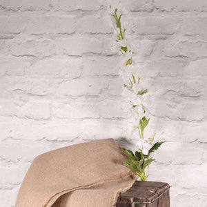Cottage Garden White Delphinium Stem (102cm) image 0