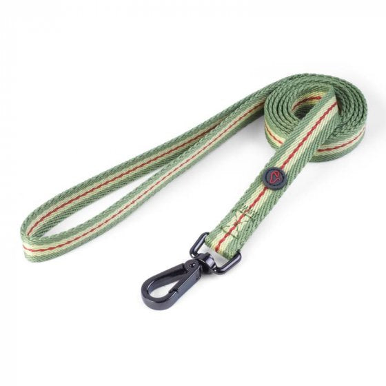 Zoon WalkAbout Dog Lead image 4