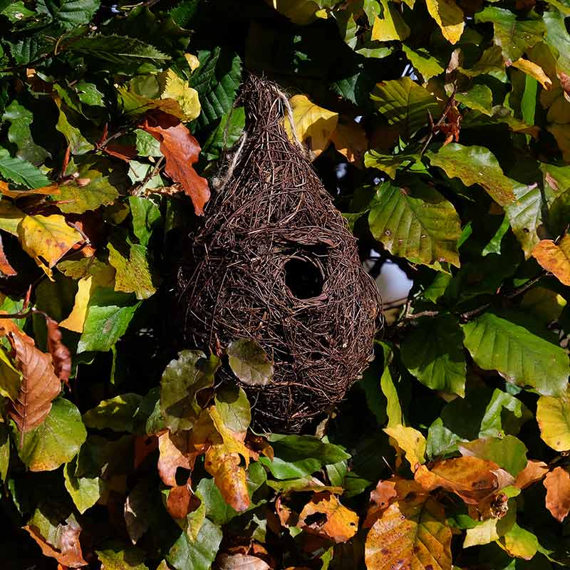 Wildlife World Giant Robin Nest Pocket image 0