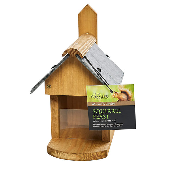 Tom Chambers Squirrel Feast with Slate Roof image 0
