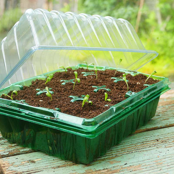 Gro-Sure Visiroot Twin Propagator Set image 1