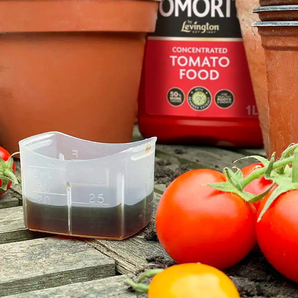 Levington Tomorite Concentrated Tomato Food image 1