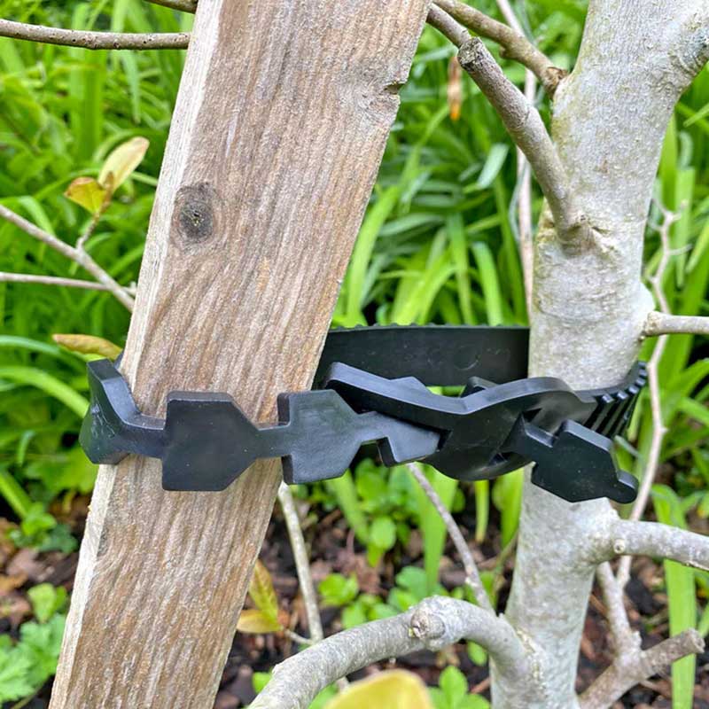 Growers Choice Soft & Stretchable Shrub Ties (20) image 0
