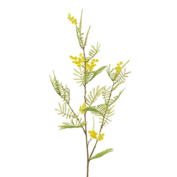 Floralsilk Mimosa Spray (87cm) image 0