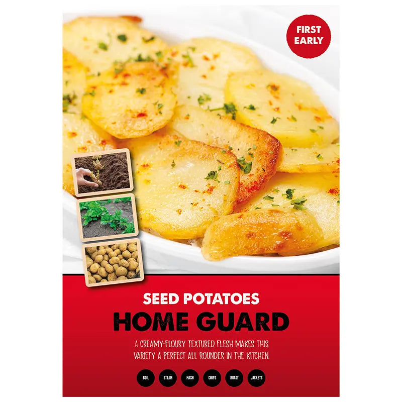 Home Guard First Early Seed Potatoes image 0