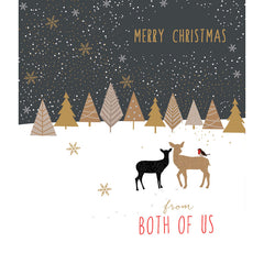 Portfolio From Both Of Us Christmas Card image 0