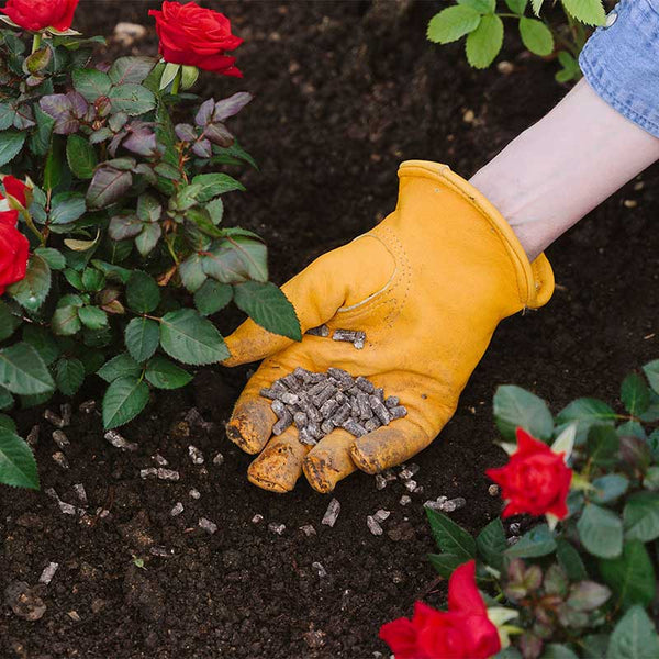 Westland Rose Food Enriched with Horse Manure (1kg) image 2