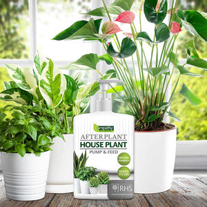 Empathy After Plant Houseplant Pump & Feed (500ml) image 1