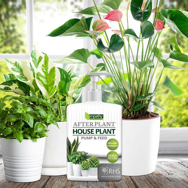 Empathy After Plant Houseplant Pump & Feed (500ml) image 1