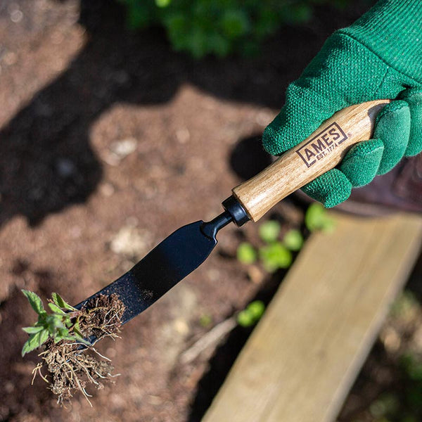 AMES Hand Daisy Grubber Carbon Steel image 3