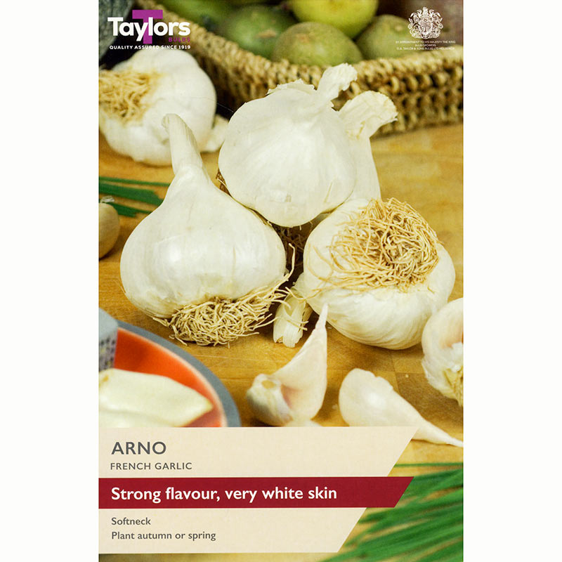 Arno French Garlic (2 Bulbs) image 0