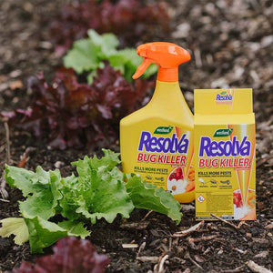 Westland Resolva Bug Killer Ready to Use 1 Litre image 3