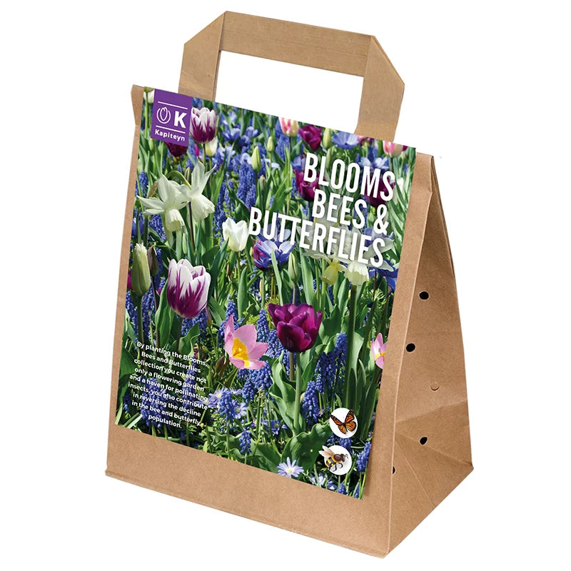 Blooms, Bees & Butterflies Landscape Garden 'Blue Shades' (50 bulbs) image 0