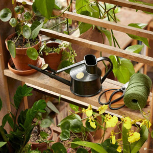 Haws The Langley Sprinkler Indoor Watering Can (1 Pint) image 5