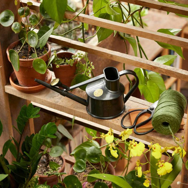 Haws The Langley Sprinkler Indoor Watering Can (1 Pint) image 5