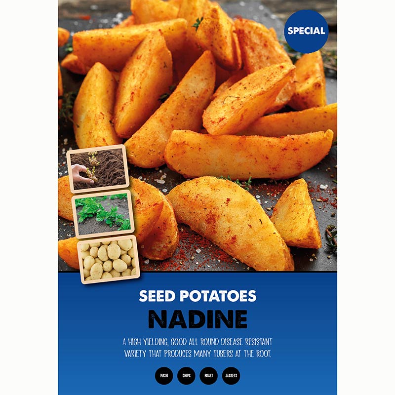 Nadine Second Early Seed Potatoes (2kg Bag) image 0
