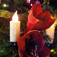 Lumineo LED Candle String Lights image 0