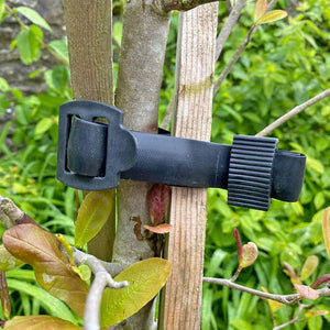Tree Ties image 3