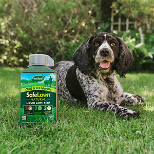 Westland SafeLawn Liquid Lawn Feed image 4