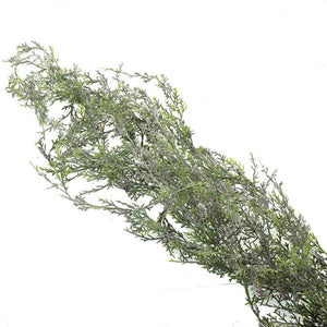 SageDecor Frosted Cedar Garland image 0