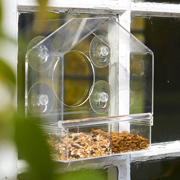 Tom Chambers Observer Window Feeder image 0