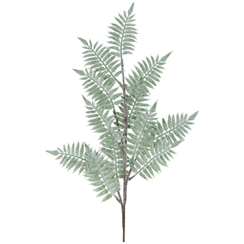 Gisela Graham Frosted Fern Spray (73cm) image 0