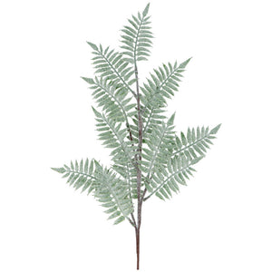 Gisela Graham Frosted Fern Spray (73cm) image 0
