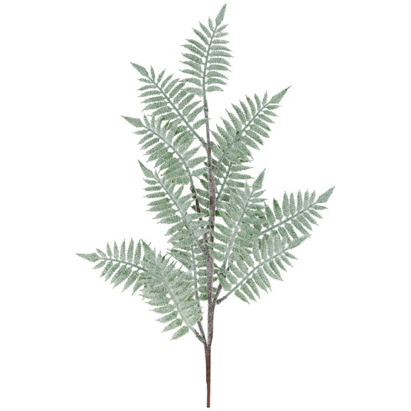Gisela Graham Frosted Fern Spray (73cm) image 0