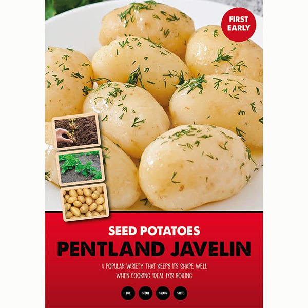 Pentland Javelin First Early Seed Potatoes (2kg Bag) image 0