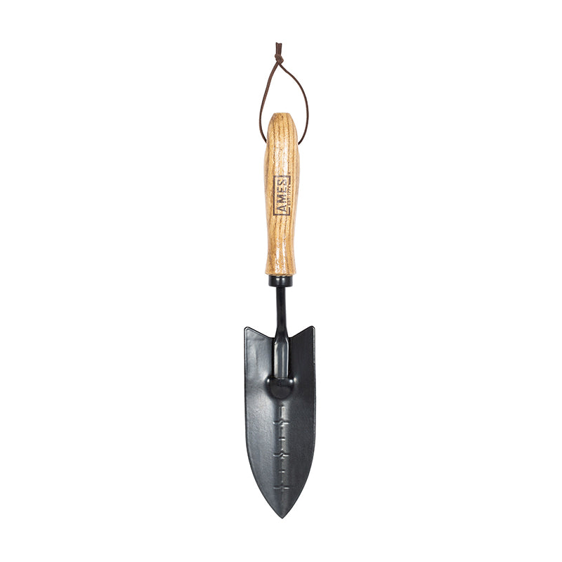 AMES Hand Transplanter Carbon Steel image 0