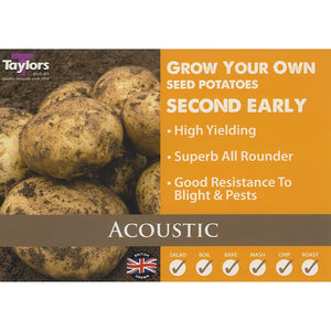 Acoustic Second Early Seed Potatoes image 0