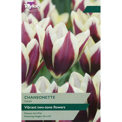 Tulip 'Chansonette' (6 bulbs) image 0