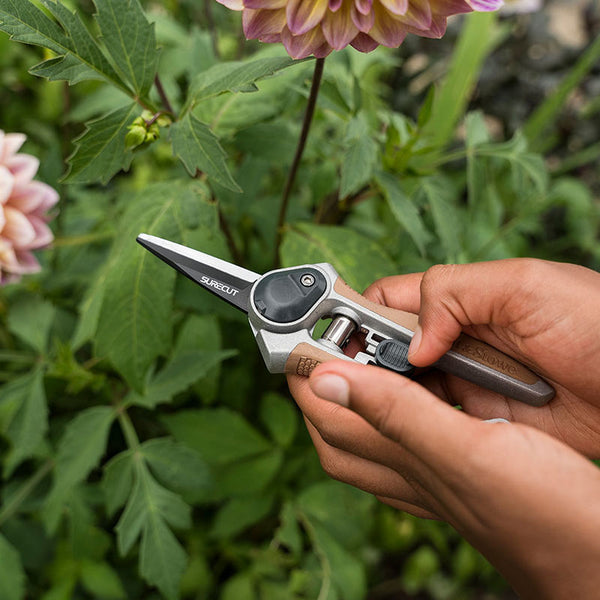 Kent & Stowe Garden Life Flower Snips image 3