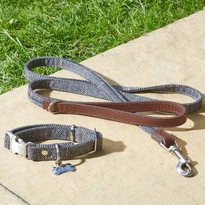 Zoon Walkabout Country Dog Collar Slate image 1