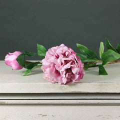 Tintagel Lavender Peony Spray (85cm) image 0