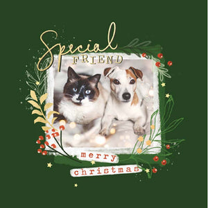 Woodmansterne Special Friend Pet Christmas Card image 0