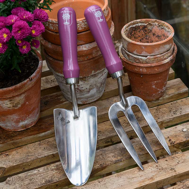 Burgon & Ball RHS Asteraceae Trowel & Fork Gift Set image 0
