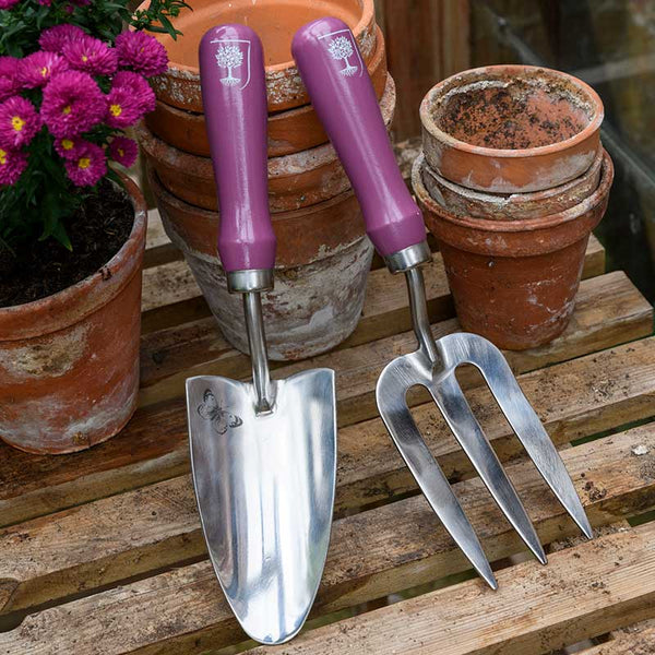 Burgon & Ball RHS Asteraceae Trowel & Fork Gift Set image 1