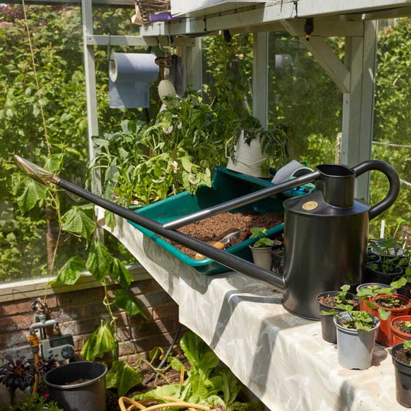Haws The Warley Fall Watering Can Graphite Grey (2 Gallon) image 2