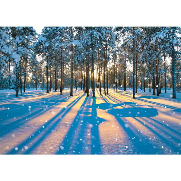 Ling Design Big Value Box - Winter Scenes (Pack of 24) image 8