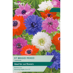 Anemone ‘St Brigid’ Mixed (15 Bulbs) image 0
