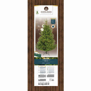 Everlands Nordmann Fir Pre-Lit Christmas Tree – 7ft image 4
