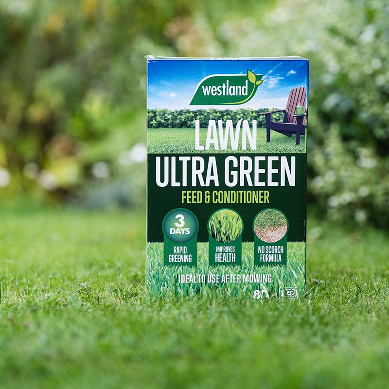 Westland Ultra Green Feed & Conditioner (80sq.m) image 0
